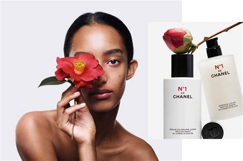 new chanel|chanel new products.